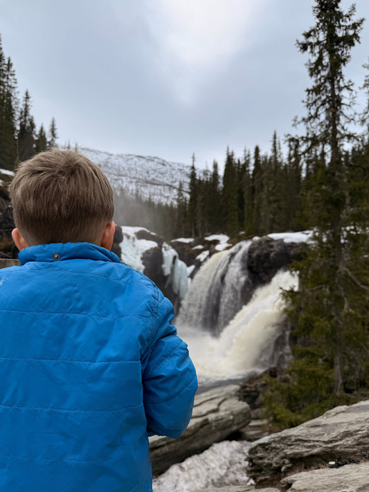 back view of little boy looking at waterfall