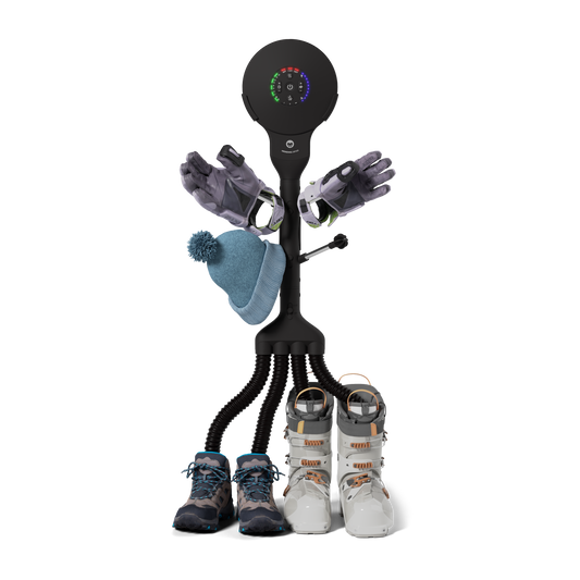 Buddy 4x4 i3 Ionic